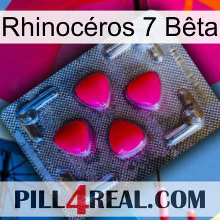 Rhinocéros 7 Bêta 13